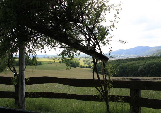 Circuit de promenade autour du cimetière militaire