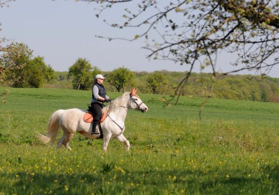 Circuit de promenade autour du cimetière militaire