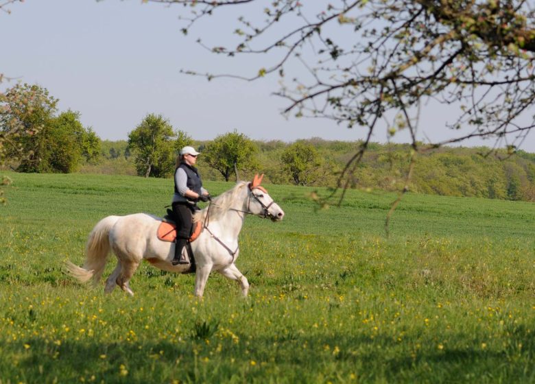 Wandeltocht rond de militaire begraafplaats