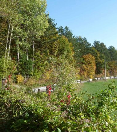 Promenade vers le Heidenkopf