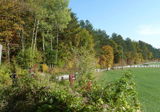 Walk to the Heidenkopf