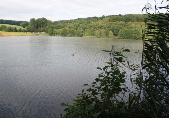 Circuit de promenade : Schwarzbach – Plan d&rsquo;eau de Reichshoffen