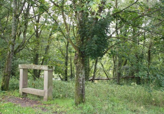 Circuit de promenade : Schwarzbach – Plan d&rsquo;eau de Reichshoffen