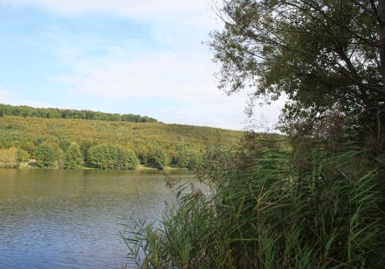 Circuit de promenade : Schwarzbach – Plan d&rsquo;eau de Reichshoffen