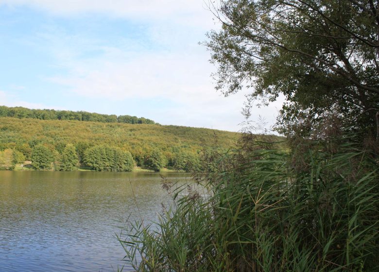 Walking circuit: Schwarzbach – Reichshoffen lake