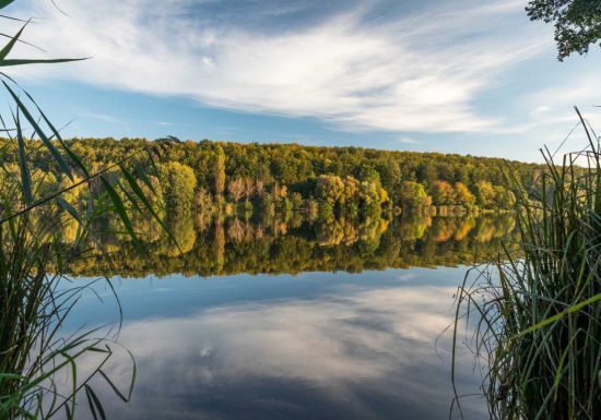 Promenade le long du Schwarzbach vers le plan d&rsquo;eau de Reichshoffen
