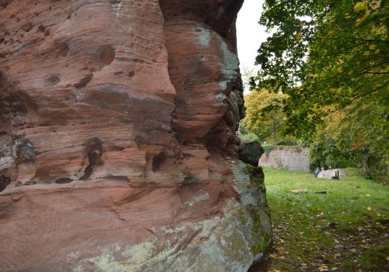 Circuit de découverte vers le château de la Wasenbourg