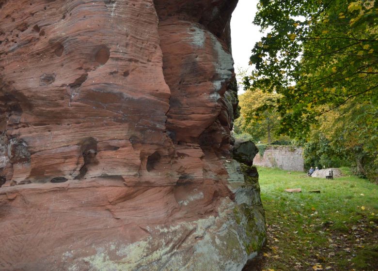 Visita de descubrimiento al castillo de Wasenbourg