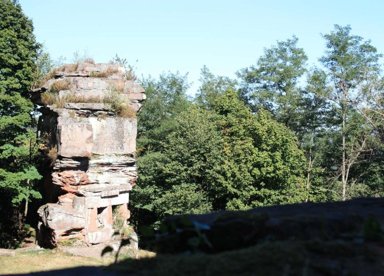 Discovery tour to Wasenbourg castle