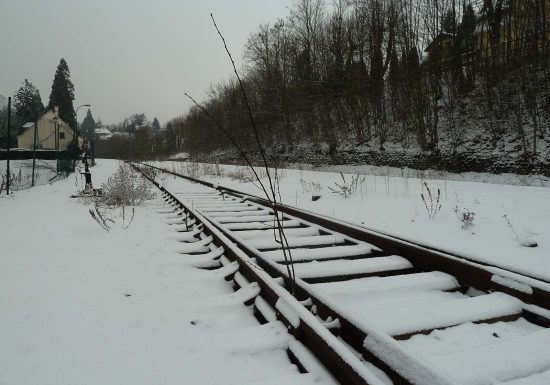 Sentier forestier Herrenberg
