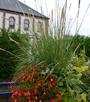 Sentier forestier Herrenberg