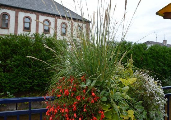 Sentier forestier Herrenberg