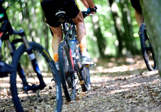 Circuito MTB de los macizos de Wintersberg y Wasenkoepfel