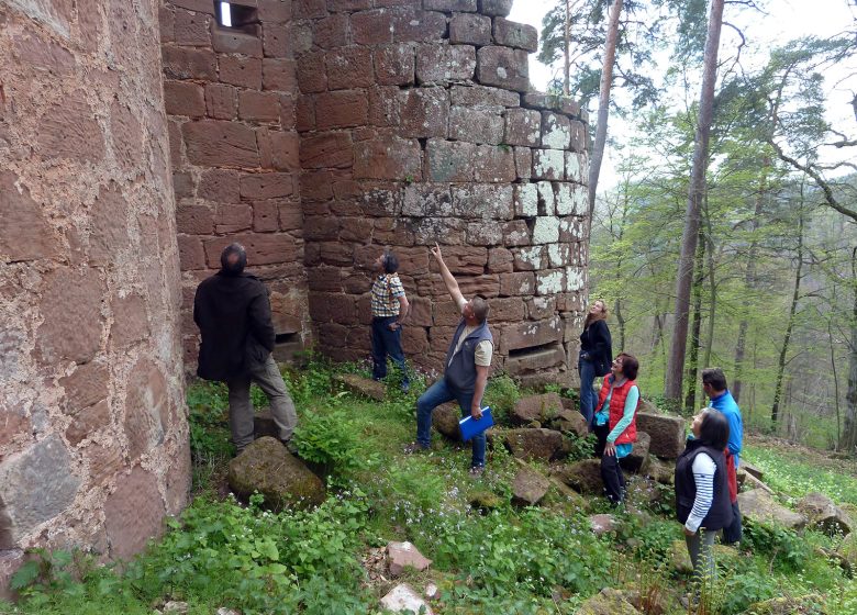 Visite guidée du château du Schoeneck