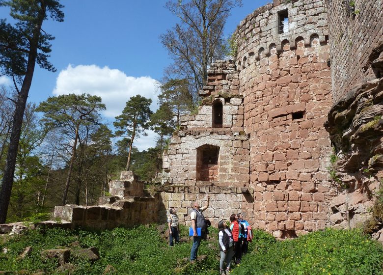 Visite guidée du château du Schoeneck