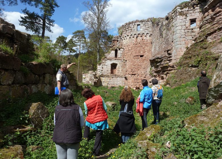 Tous aux châteaux : Visite guidée du Schoeneck