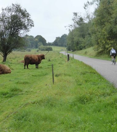 Transversale cyclo : au fil de la ligne Maginot