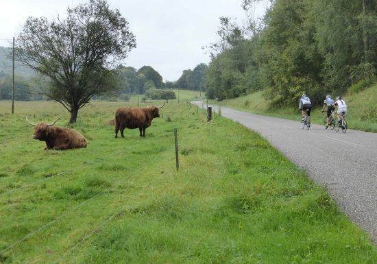 Transversal cyclo: along the Maginot line