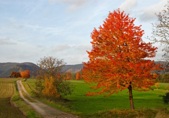 Mountainbikeroute van Schoeneck