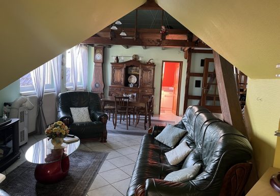 Meublé de M. Hurstel