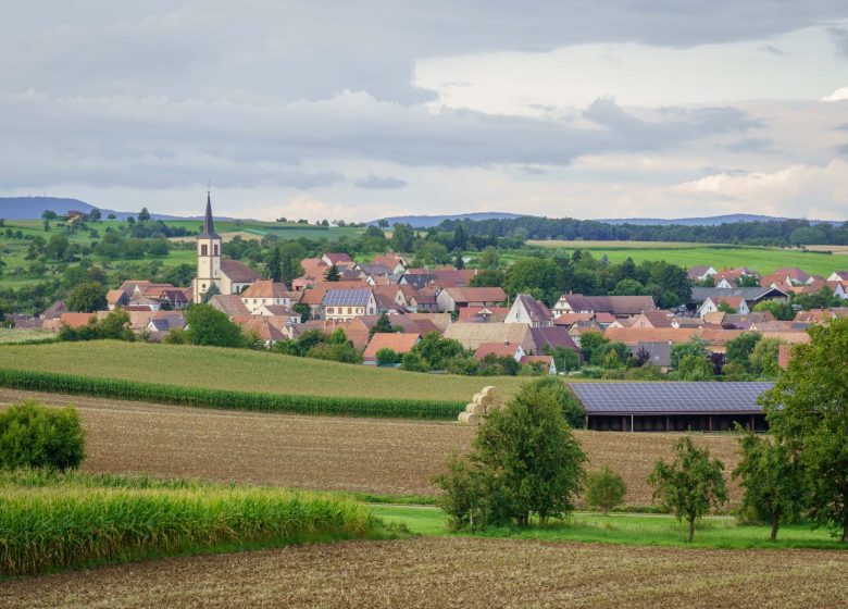 Ingericht door de heer Sohn – Branhiesel