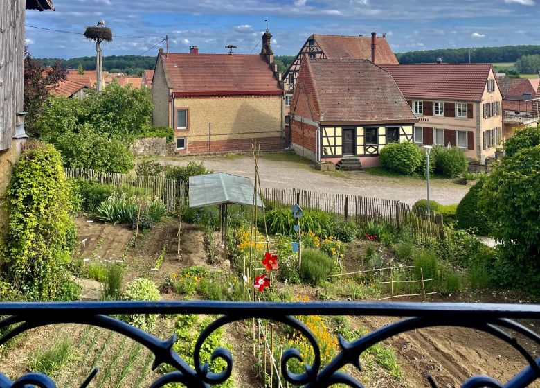 Meublé de M. Sohn – Branhiesel