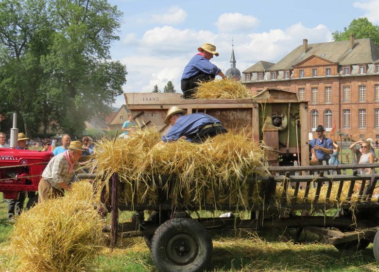 Reichshoffen en fête