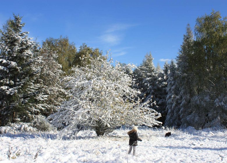 Great pedestrian crossing of the Vosges over the GR