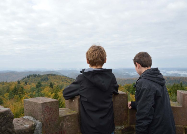 Grande traversée pédestre des Vosges au fil des GR