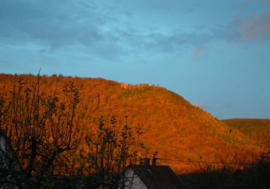 Grande traversée pédestre des Vosges au fil des GR