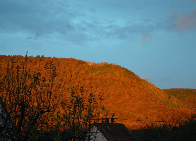 Grande traversée pédestre des Vosges au fil des GR