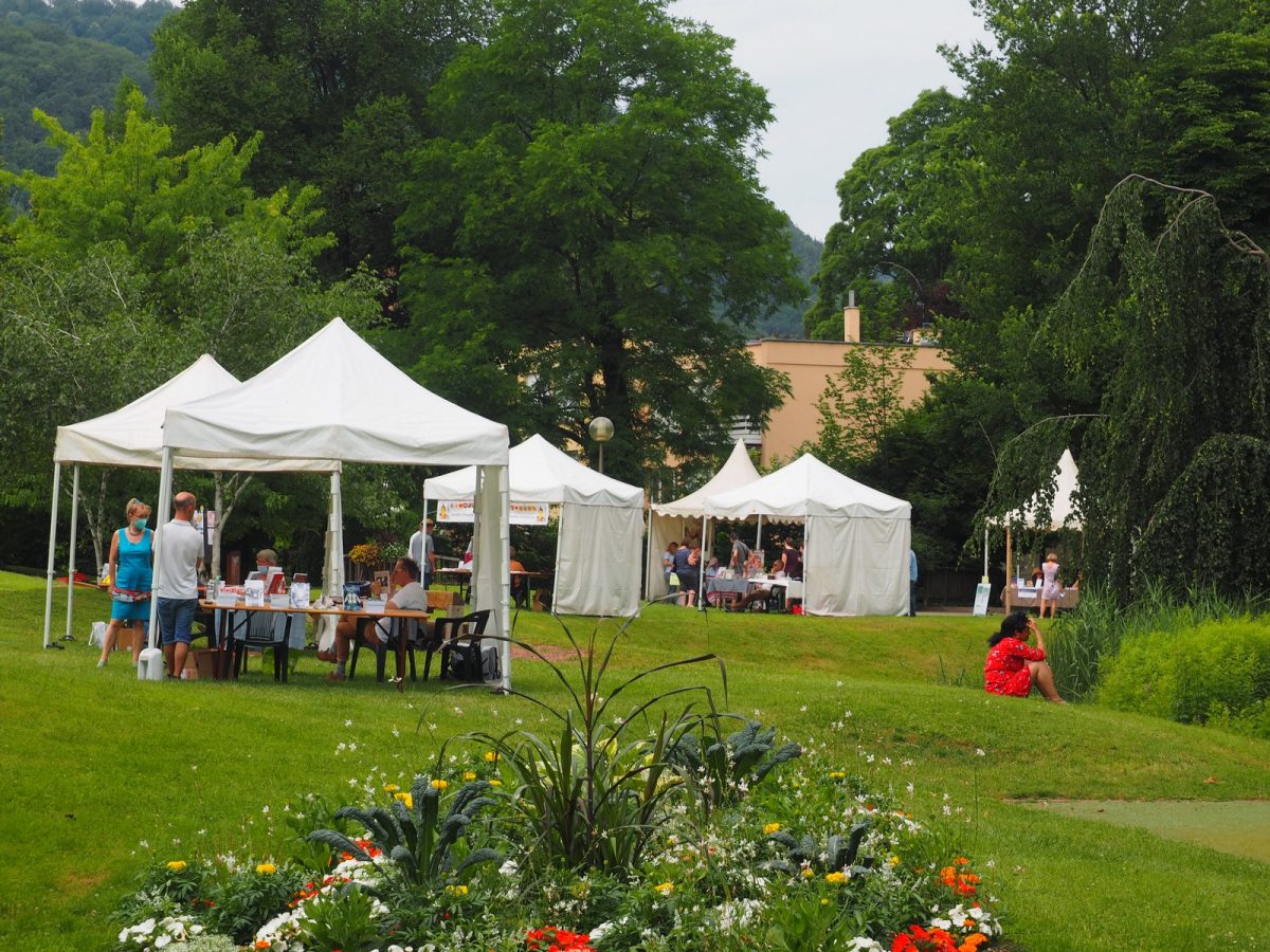 Livres en fête Le 30 juin 2024