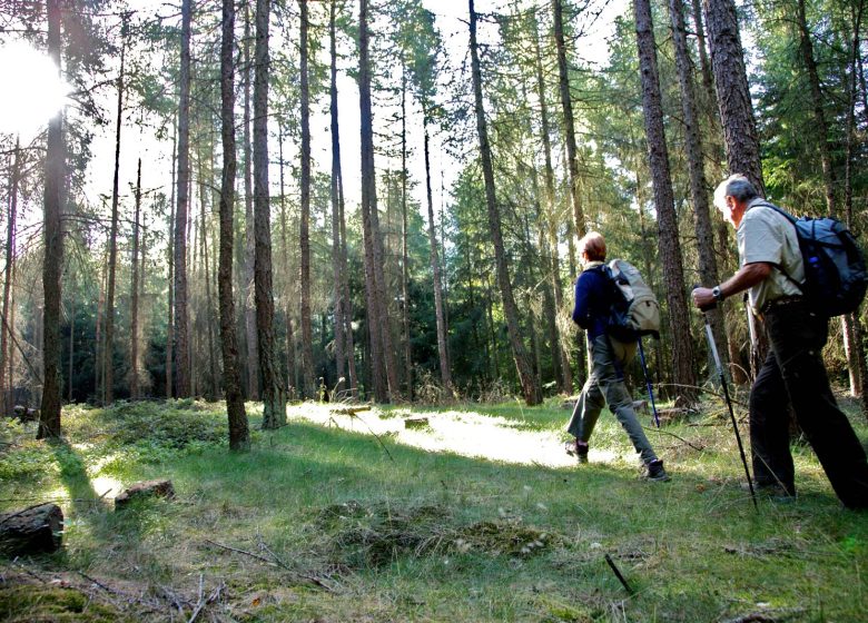 Randonnée au fil du Durschbach