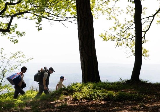 Hiking tour to the Celtic camp