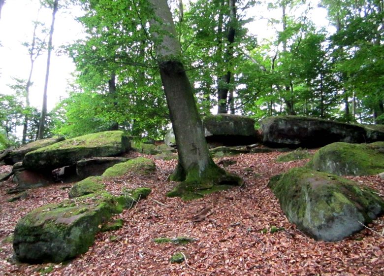 Wanderung zum Keltenlager