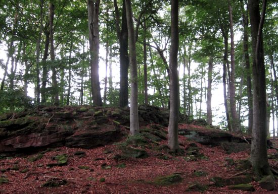 Circuit de randonnée vers le camp celtique
