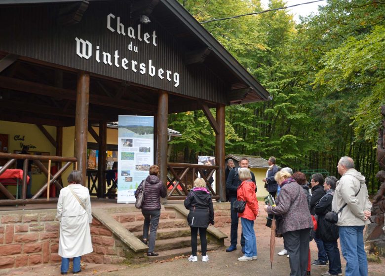 Promenade vers la tour du Grand Wintersberg