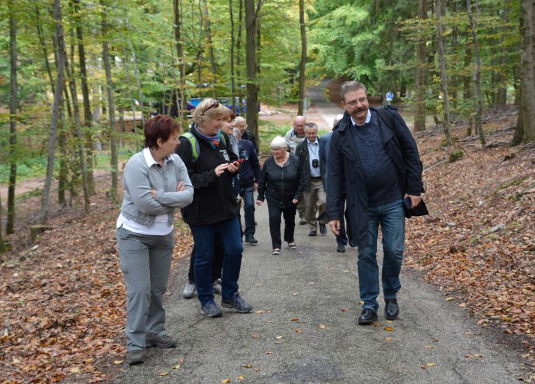 Promenade vers la tour du Grand Wintersberg