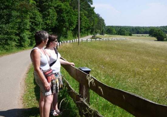 Wandern Sie entlang der fünf Burgen