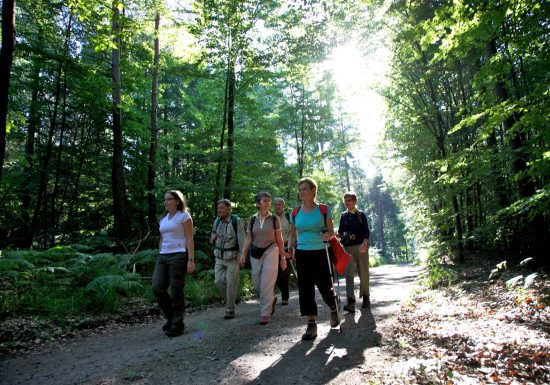 Hike between Riesackberg and Wintersberg