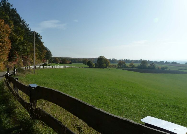 Wandeling tussen Riesackberg en Wintersberg