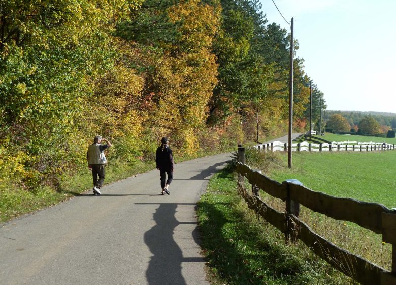 Hike between Riesackberg and Wintersberg