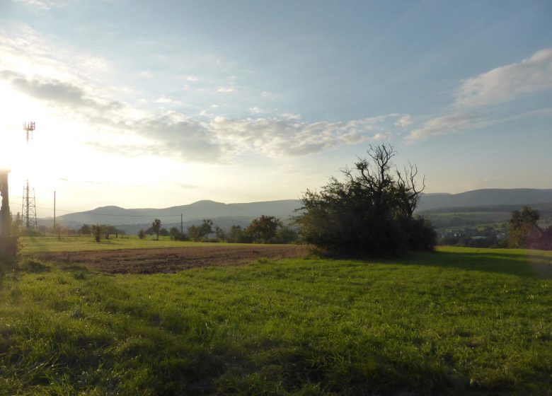 Wandern Sie rund um Breitenwasen