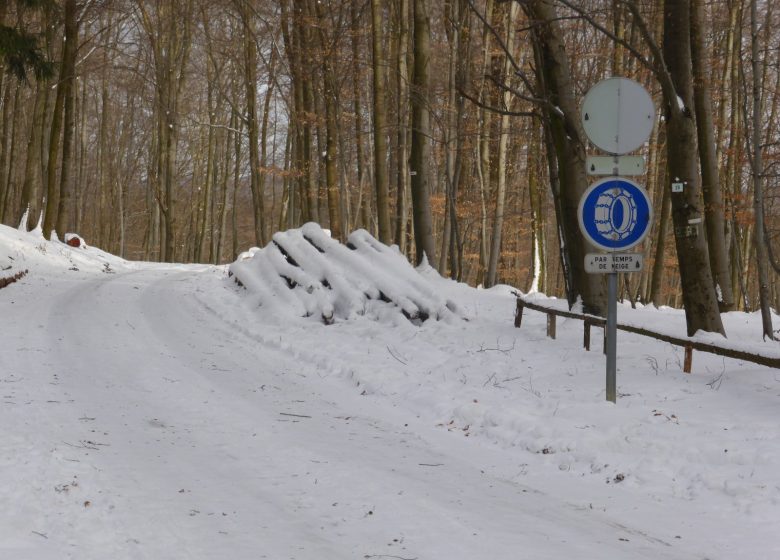 Wandern Sie rund um Breitenwasen