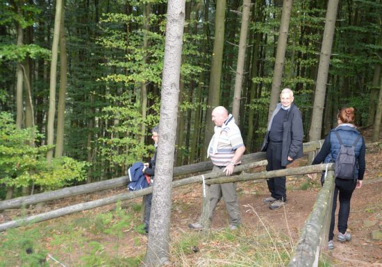 Randonnée au détour du Breitenwasen