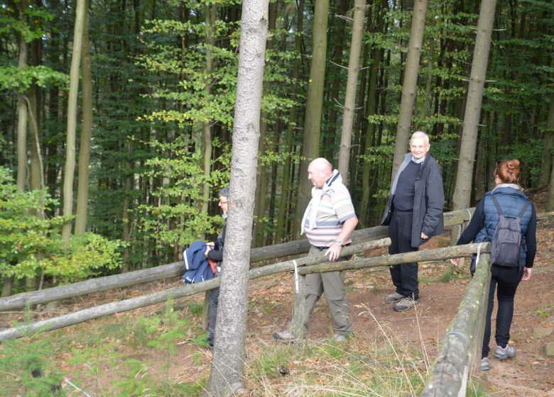 Wandern Sie rund um Breitenwasen