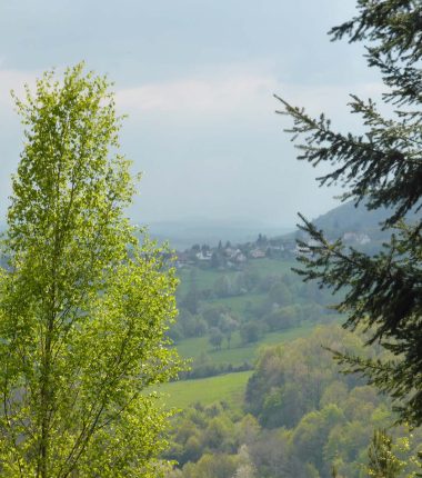Circuit de promenade : Les trois chênes