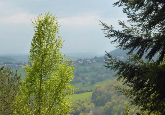 Wanderweg: Die drei Eichen