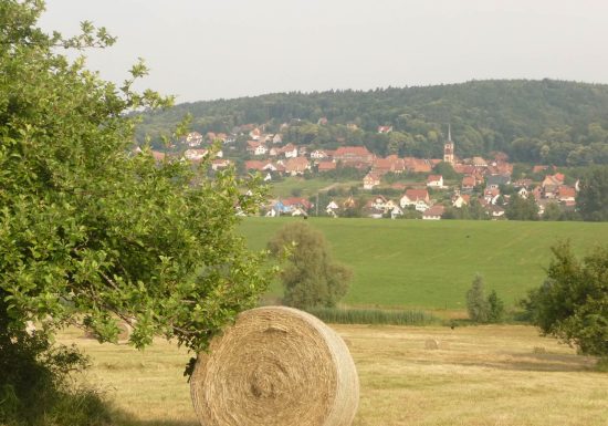 Ruta a pie: el Sonnenberg