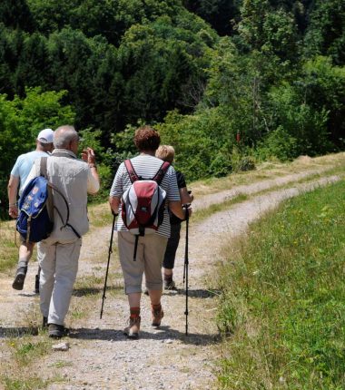 Balade circulaire autour du Grand Wintersberg